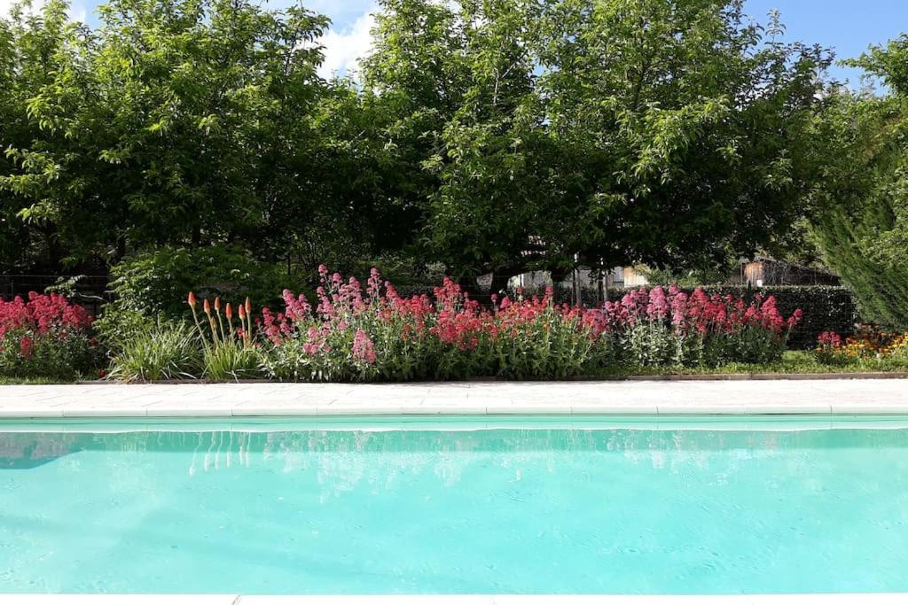 Duplex Cosy Confort Piscine Caderousse Exterior photo